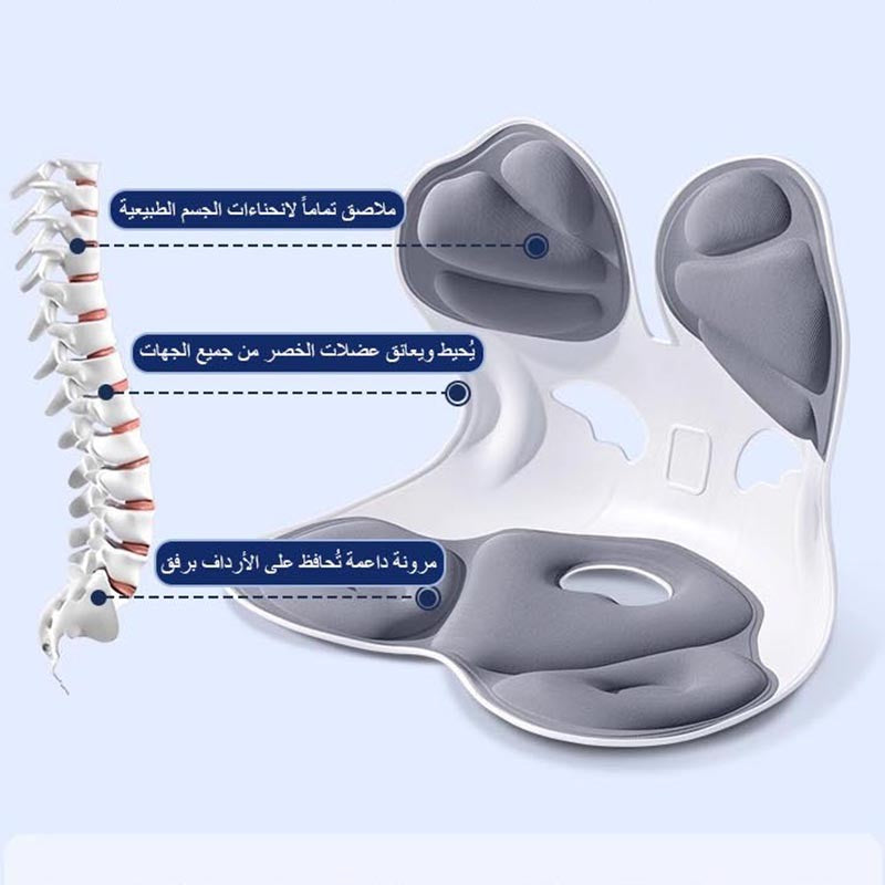 Ergonomic waist support cushion sitting chair