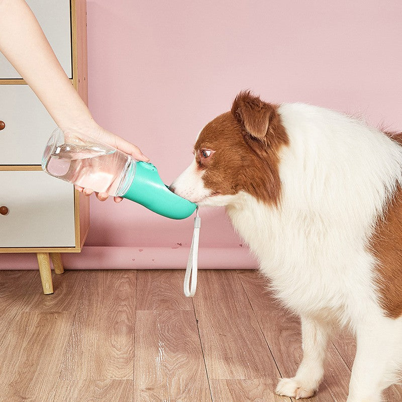 Portable pet water cup (can hold dog food)