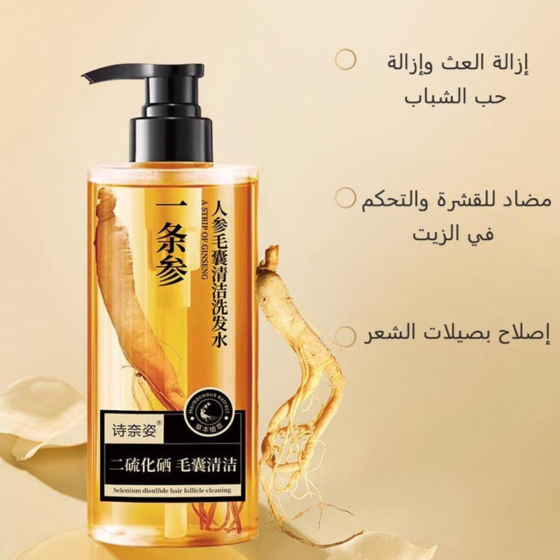 ht214-Ginseng Ganoderma Shampoo Refreshing Oil Control Anti-Itching