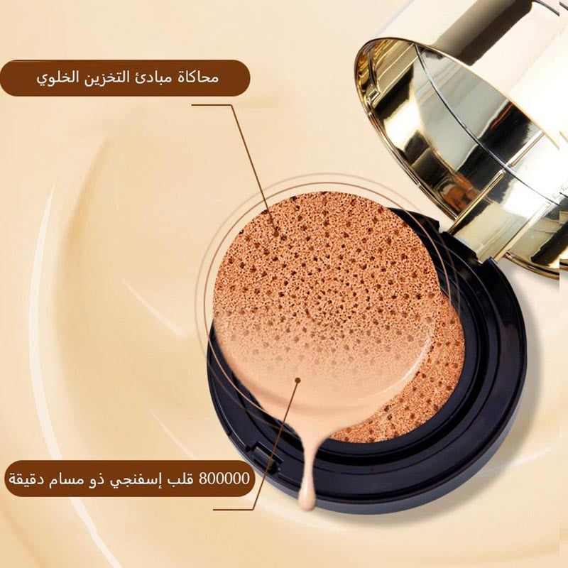 ht225-Double-layer air cushion powder two-in-one makeup, oil control and concealer