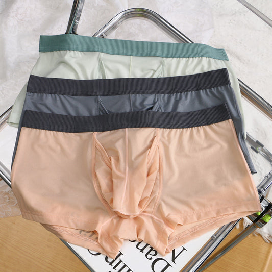 wan501-Men's ice silk boxer briefs