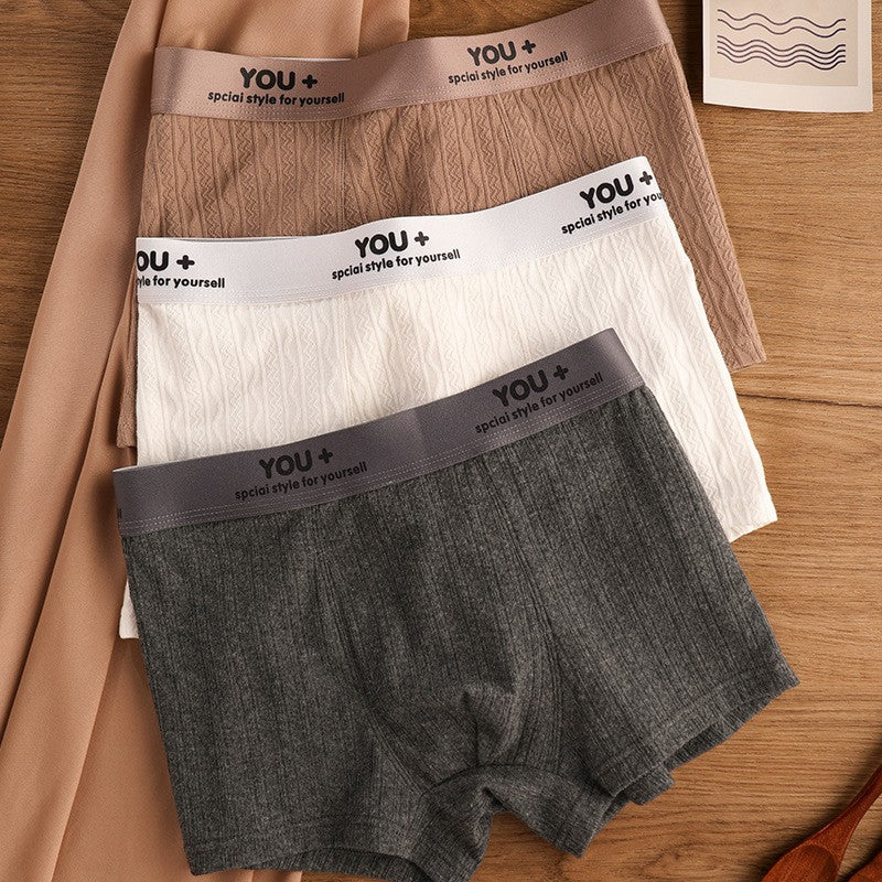 zd306-Men's Simple Large Size Antibacterial Cotton panties