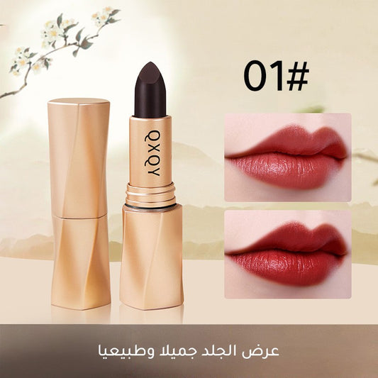 Elegant and charming matte lipstick