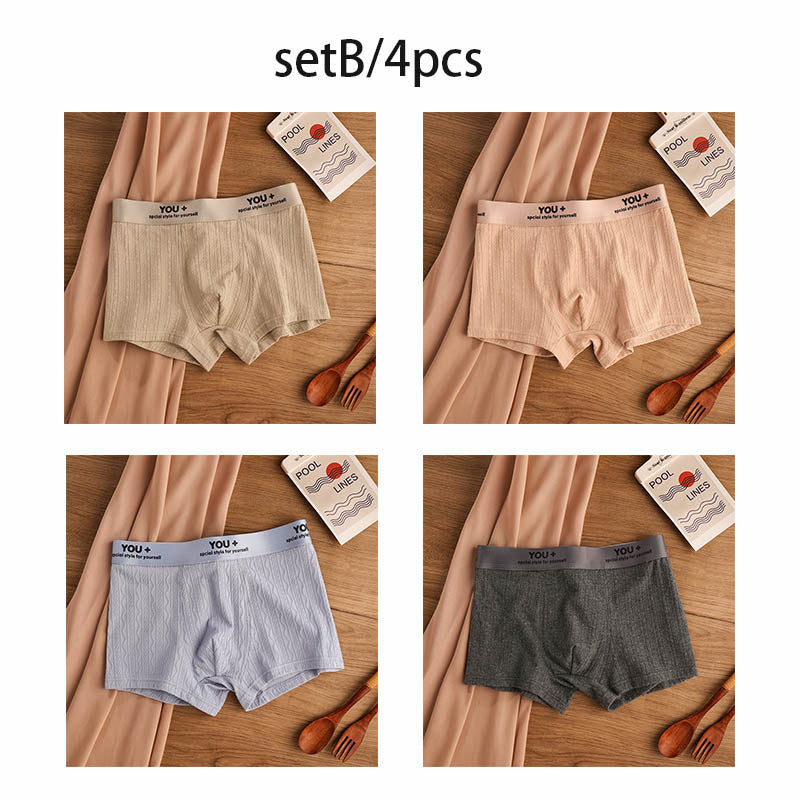 zd306-Men's Simple Large Size Antibacterial Cotton panties