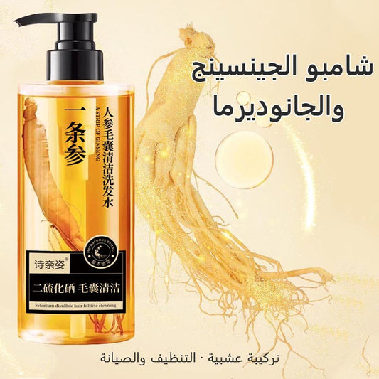 ht214-Ginseng Ganoderma Shampoo Refreshing Oil Control Anti-Itching